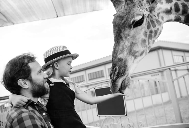 ¿Quién cuida a los animales del zoológico? − Auxiliar Veterinario y Cuidador de Animales de Zoológico