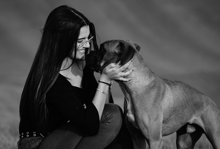 ¿Qué es la inteligencia emocional? − Terapia Asistida con Animales