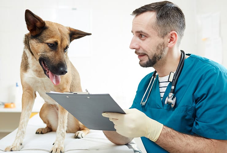 La cartilla veterinaria − Asistente y Auxiliar Técnico Veterinario