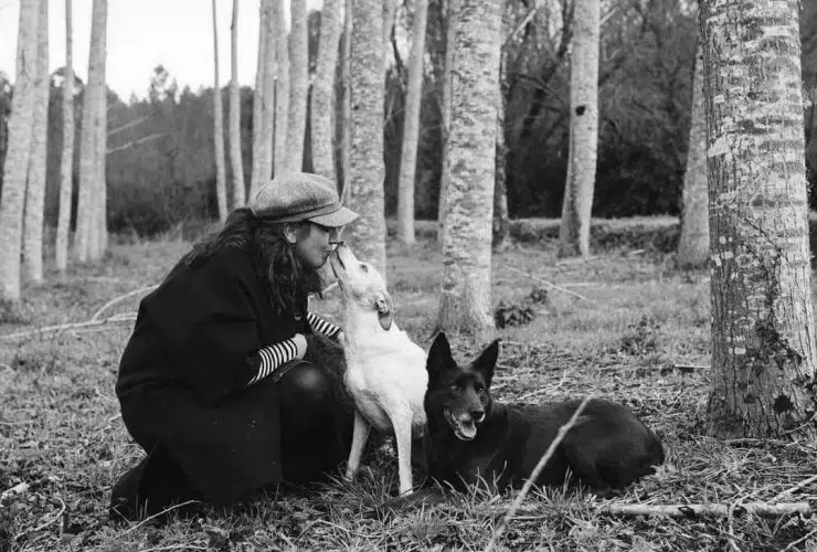 Educar en positivo a perros