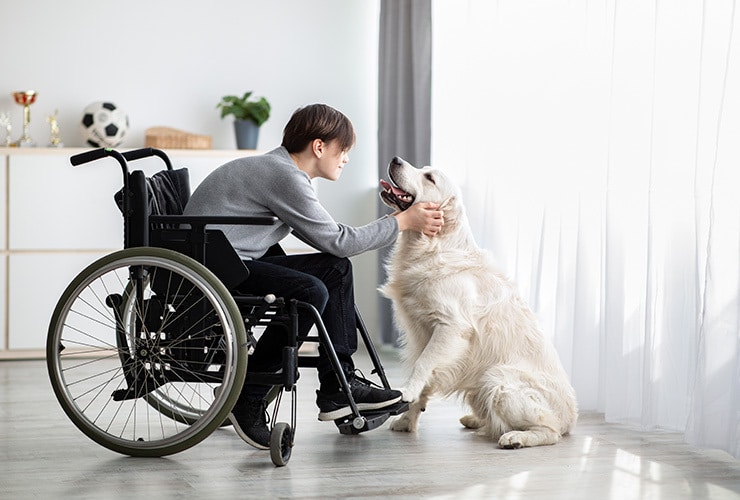 Teoría del apego en terapias con animales: lo que debes saber