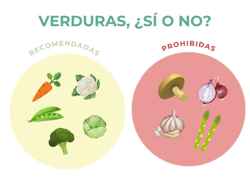 Resumen de verduras recomendadas y prohibidas para perros