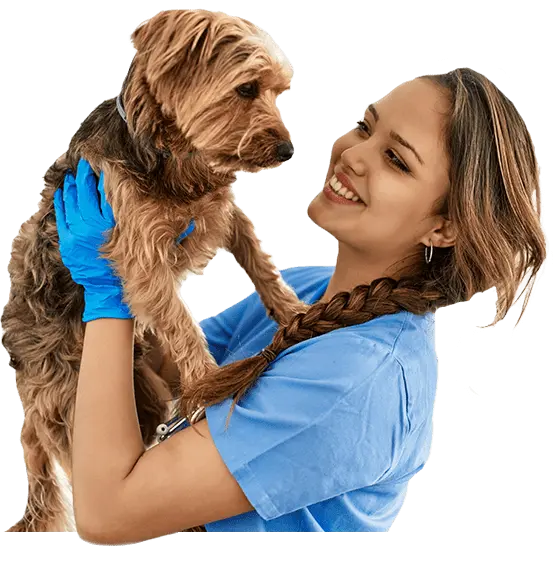Asistente y Auxiliar Técnico Veterinario