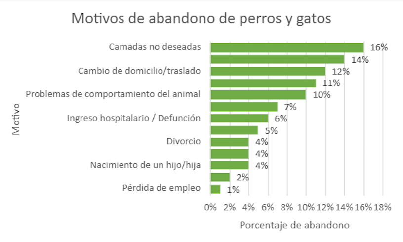 Motivos de abandono de perros y gatos 2024