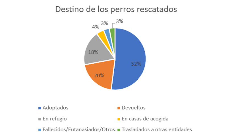Destino perros recogidos 2024