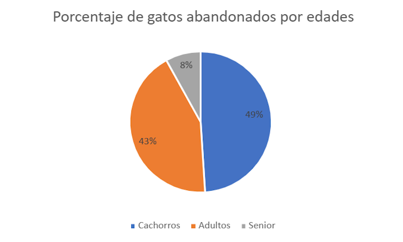 Gatos abandonados por edades 2024