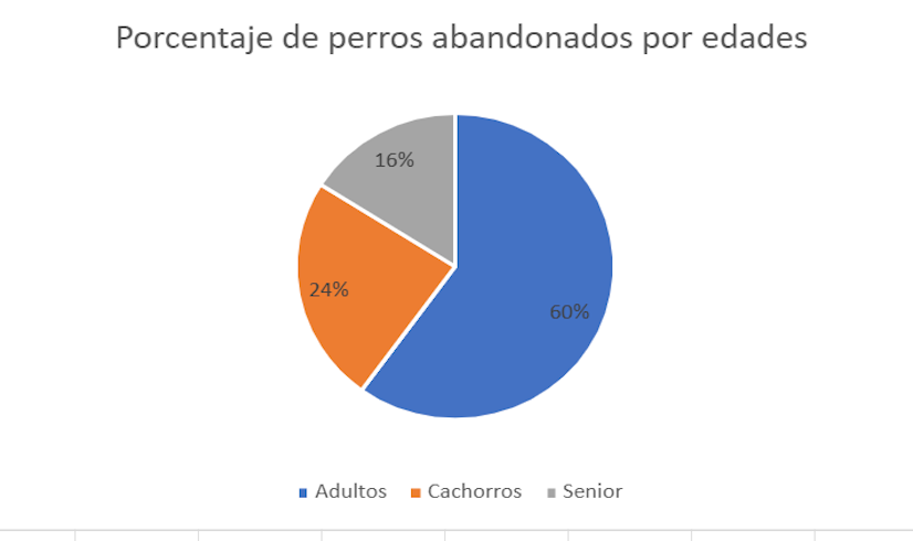 Perros abandonados por edades 2024